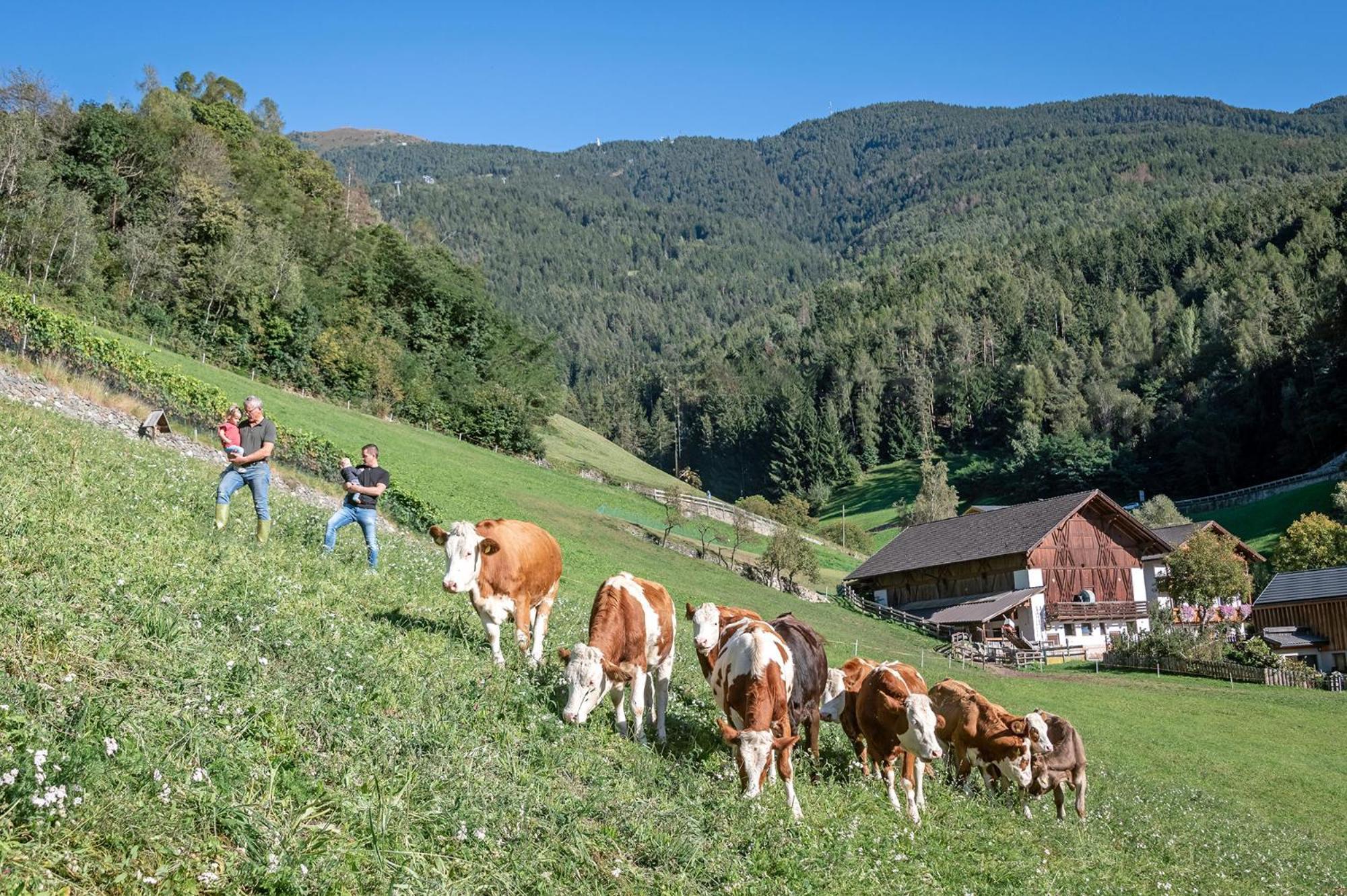 Niederthalerhof Chalets Bressanone Ngoại thất bức ảnh
